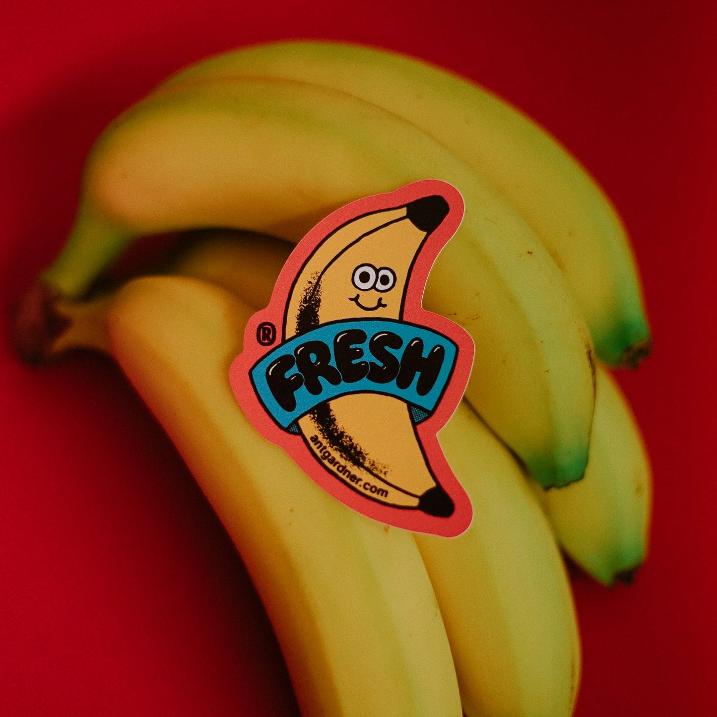 CUSTOM SHAPED VINYL STICKERS